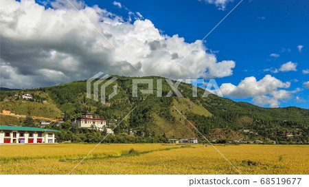 The grasslands of Thimpu and Tashichho Dzong in the background 68519677