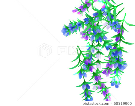 Gentian illustration background 68519900