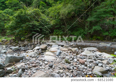 Kawamata River Valley (Yatsunatake Ranch, Yamanashi Prefecture) 68521080