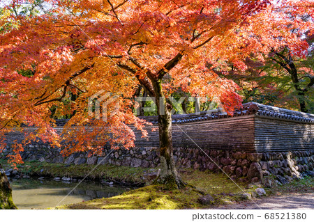 岐阜縣多治見市土方山神寶寺附近的池塘和秋天的樹木 68521380