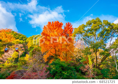 Kobe Nunobiki ropeway and autumn leaves Kobe Nunobiki ropeway and autumn leaves 68521725
