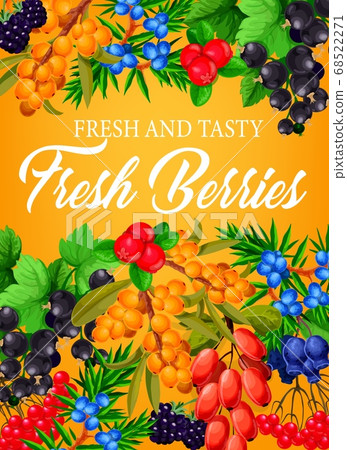Berries, farm garden raspberry, strawberry fruits Berries, farm garden raspberry, strawberry fruits 68522271