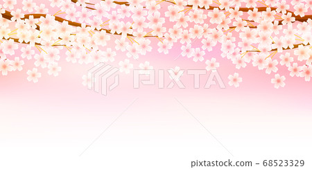 Sakura spring flower background Sakura spring flower background 68523329