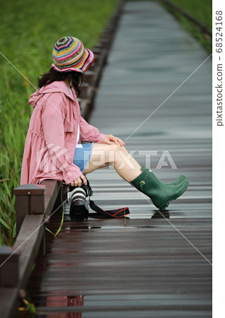 Scenery of a rainy day, Suncheon Bay 68524168