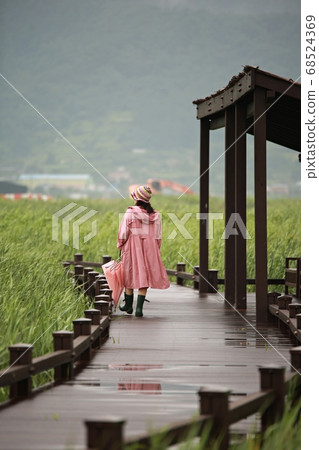 在下雨天順天灣 68524369