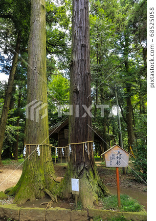 夏季田ata八man宮 夏季田ata八man宮 68525058