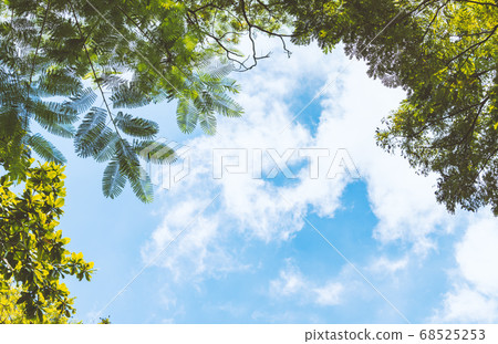 Blank space for text and design on beautiful sky 68525253