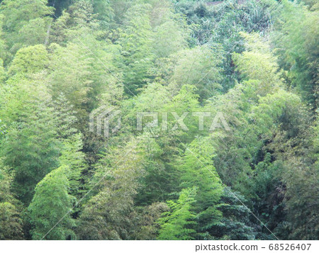 scenery 68526407