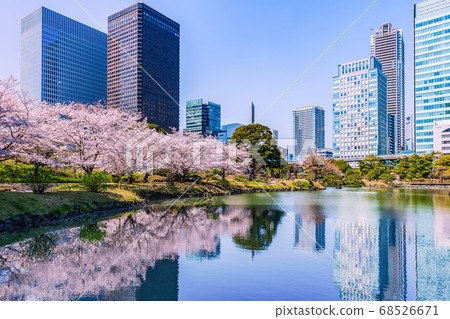 東京春天的前芝立宮花園 68526671