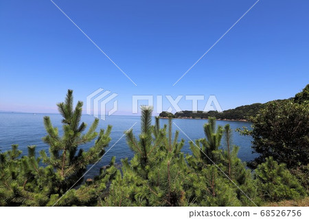 Tomogashima 68526756