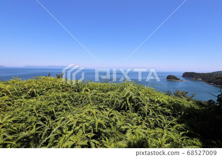 Tomogashima 68527009