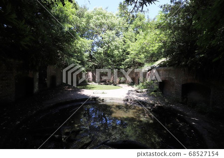 Tomogashima 68527154