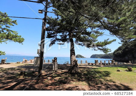 Tomogashima 68527184