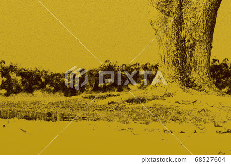Image material Large tree in the forest 68527604