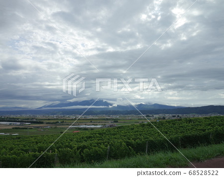 雲與山_富良野 68528522