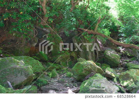 Colorful nature with mossy rocks 68528664