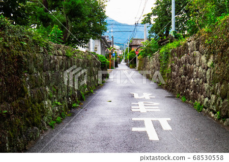 城堡城兩面都有江戶時代的石牆 68530558