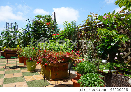 Roof balcony summer flower garden 68530998