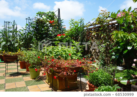 Roof balcony summer flower garden 68530999