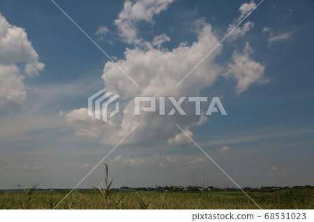 I looked up at the sky in Ibaraki on a clear day 68531023