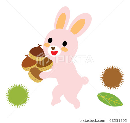可愛的兔子撿栗子 68531595