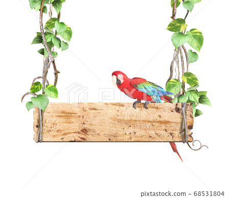 Old wooden board, Ara macao parrot, lianas and Old wooden board, Ara macao parrot, lianas and 68531804