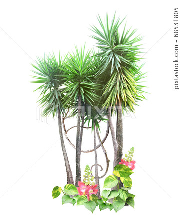 Frame with palm, liana branches and tropical Frame with palm, liana branches and tropical 68531805