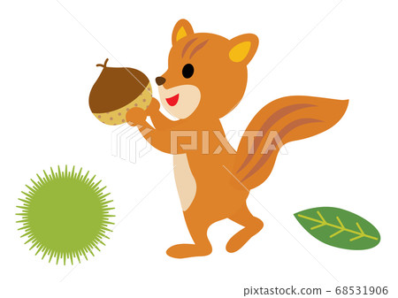 一隻可愛的松鼠撿栗子 68531906