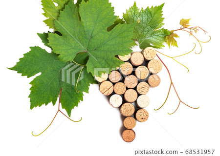 Branch of grape wine berries of corc 68531957
