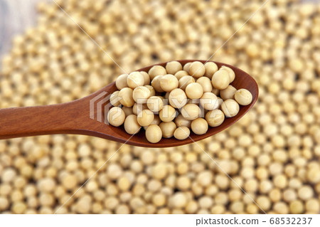 穀物，大豆，白tae 68532237