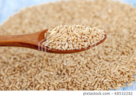 穀物,燕麥 穀物,燕麥 68532282
