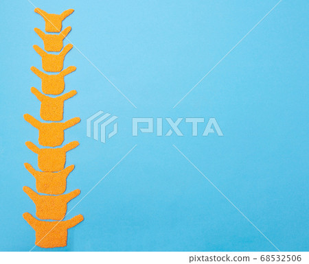 Human spine model on a blue background. The concept of youth and flexibility of the human spine. Copy space for text, elasticity 68532506