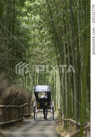 Bamboo forest in Arashiyama Bamboo forest in Arashiyama 68532776