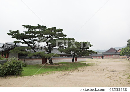 Gyeongbokgung 68533388