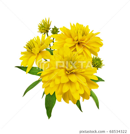 Yellow dissected rudbeckia flowers in a floral Yellow dissected rudbeckia flowers in a floral 68534322