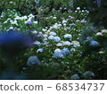 Hydrangea Group, Hydrangea Temple 68534737