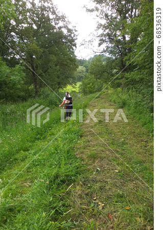 Young woman mows the grass with a trimmer on the Young woman mows the grass with a trimmer on the 68536319