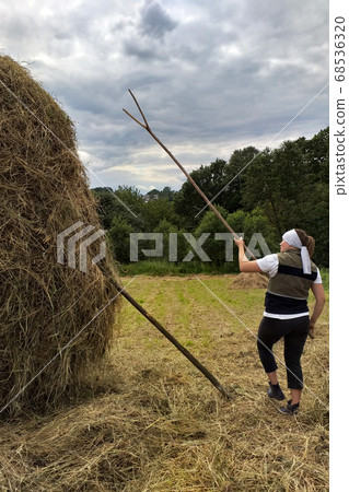 Carpathian fields, harvesting hay for the winter, Carpathian fields, harvesting hay for the winter, 68536320