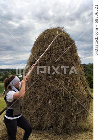 Carpathian fields, harvesting hay for the winter, Carpathian fields, harvesting hay for the winter, 68536321