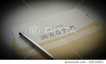 Preparation of survey report 68536601