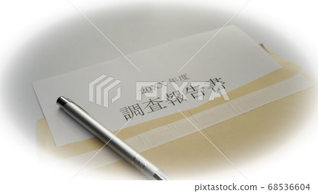 Preparation of survey report 68536604