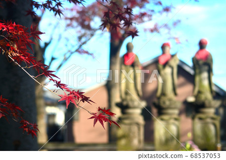 楓樹和地藏在花園裡 楓樹和地藏在花園裡 68537053