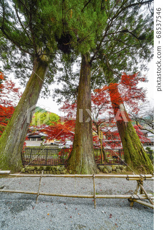 秋天的秋天，高穗山高野室羅寺 68537546