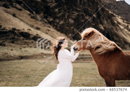 A bride in a white dress strokes a horse's nose. Hair and mane develop in the wind. Destination Iceland wedding photo session with Icelandic horses A bride in a white dress strokes a horse's nose. Hair and mane develop in the wind. Destination Iceland wedding photo session with Icelandic horses 68537674