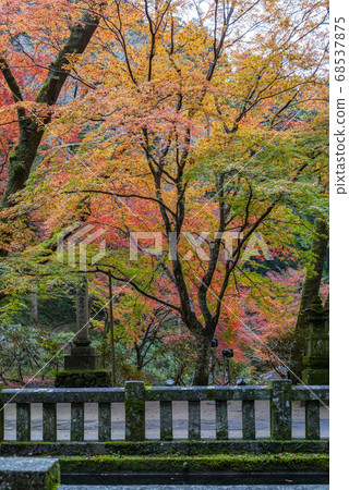Mt. Takano, the precincts of Muroji Temple in late autumn 68537875