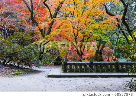Mt. Takano, the precincts of Muroji Temple in late autumn 68537878