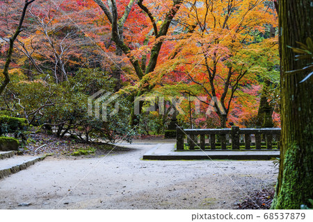 Mt. Takano, the precincts of Muroji Temple in late autumn Mt. Takano, the precincts of Muroji Temple in late autumn 68537879