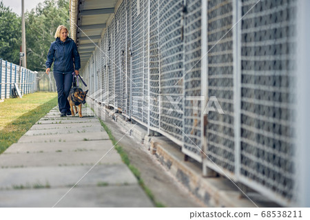 Female officer with security dog walking by locked cages 68538211