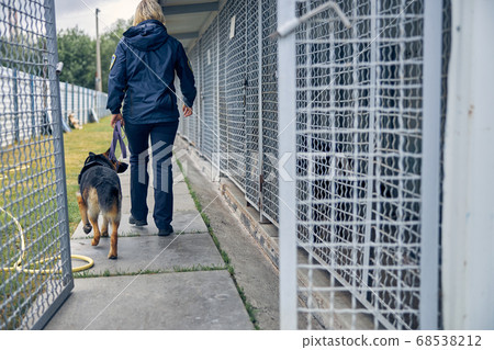 Female officer with detection dog walking by locked cages Female officer with detection dog walking by locked cages 68538212