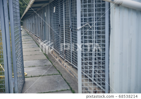 Locked cages for storage with grassy sidewalk Locked cages for storage with grassy sidewalk 68538214